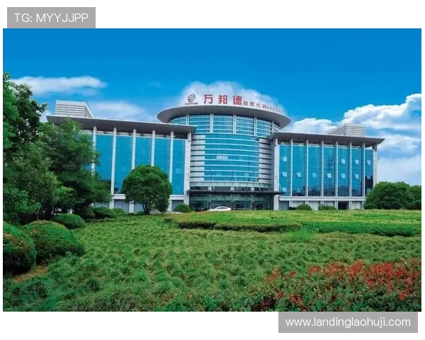 浙江云开电子积极布局海外市场，推动中国电子制造业走向国际化发展新阶段